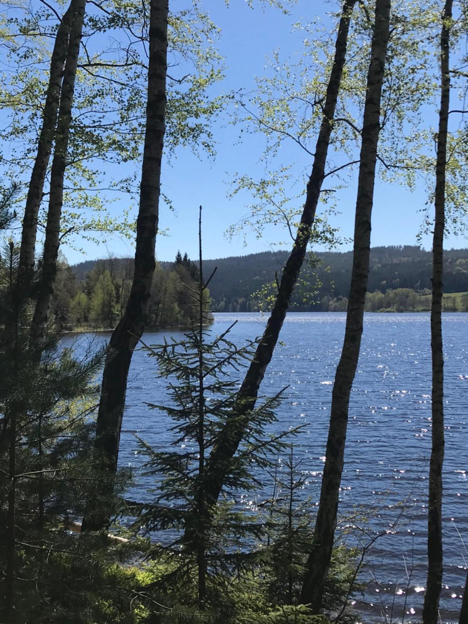 Rodinné ubytování Krauskopfovi Lipno nad Vltavou Esterno foto